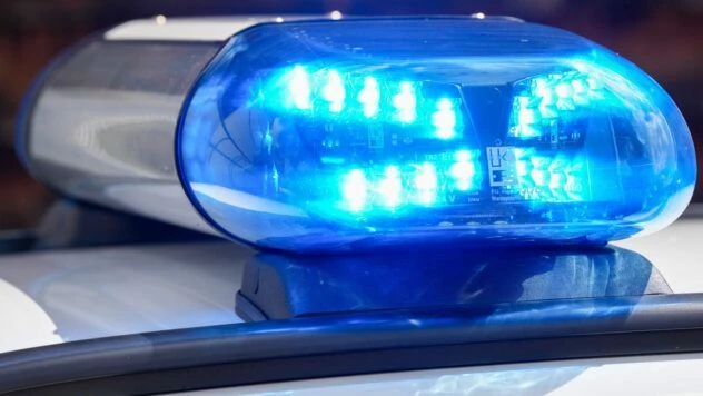 ДТП в Угорщині: автобус з польськими номерами з’їхав в кювет, 12 загиблих